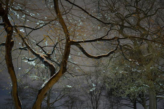 BAI24769_77631- website