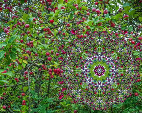 POS89742 03968 juror