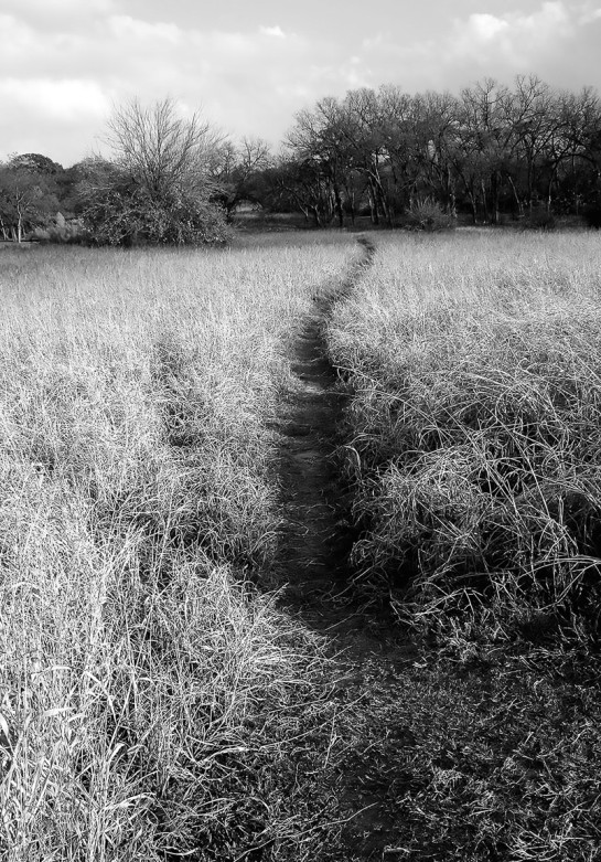 COL15415 83583 juror