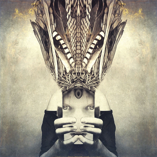 CAM89586_49833- website