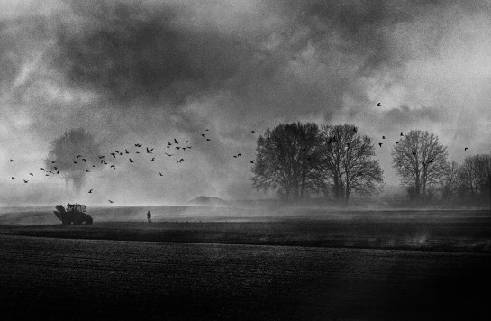 VER07817 47756 juror