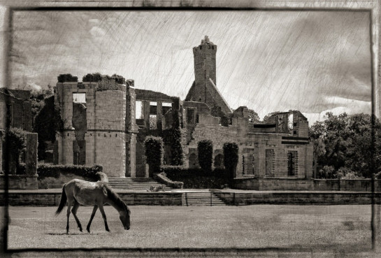 Currie_Dawn_2Dungeness