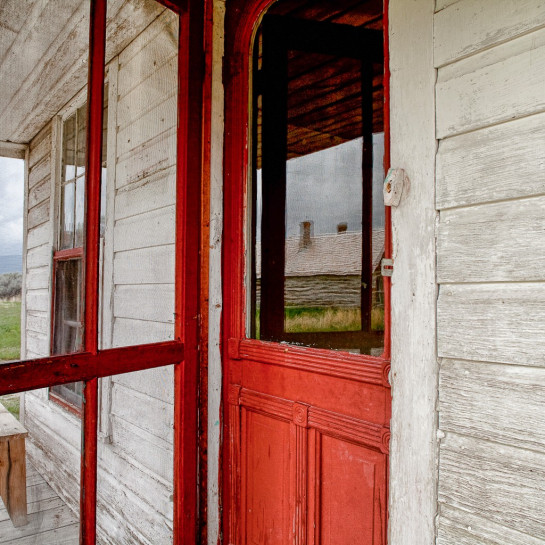 Pignato_Rita_Red Screen Dog004