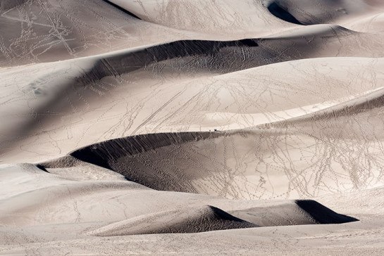 ELL53325_96238 for website