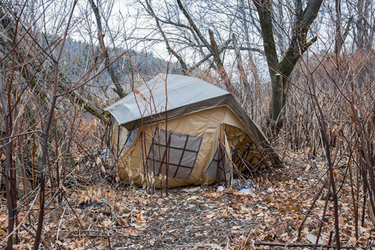 GAF24478_95868 for website