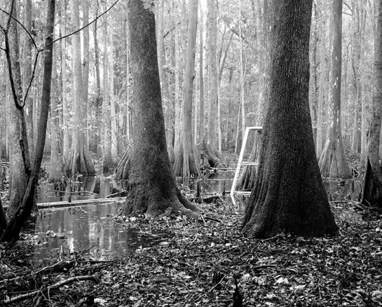 JOL73267_75151 for website