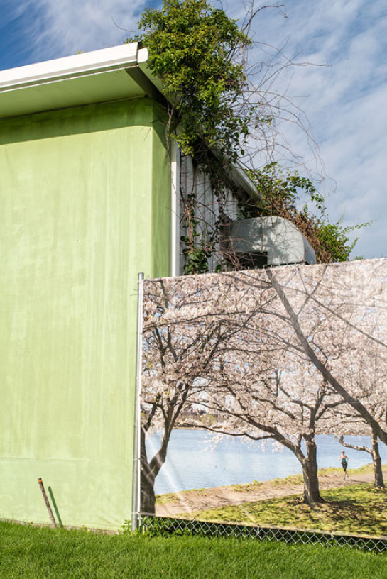 KED95874_62756 for website