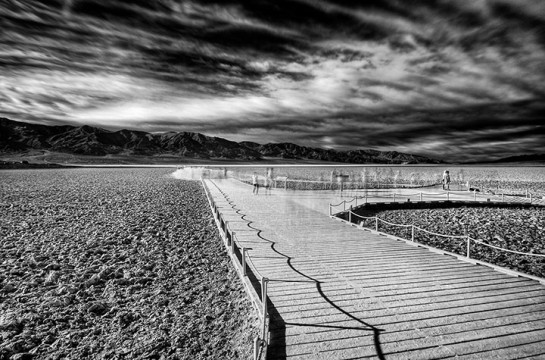 PET87423_39593 for website