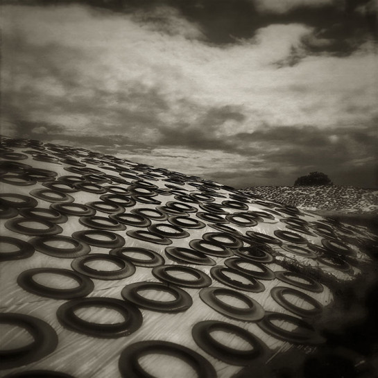 REE61438_44095 for website