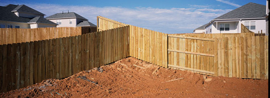 SIL91967_68684 for website