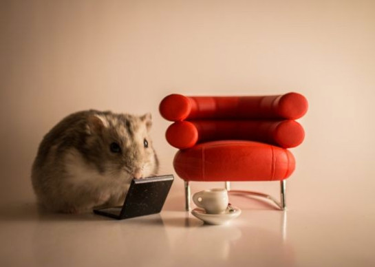 Allen_Lisa_2DewieatWork