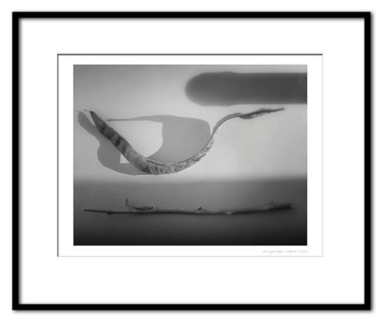 Alterio_BrianFoundObjects72313