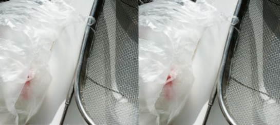 Covington_Robert_4StillLife04