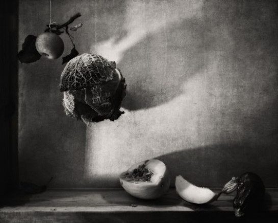 Cundy_David_AfterFraJuanSanchez