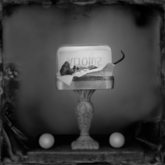 HallBrown_Leslie_3TheMouseThatRoared