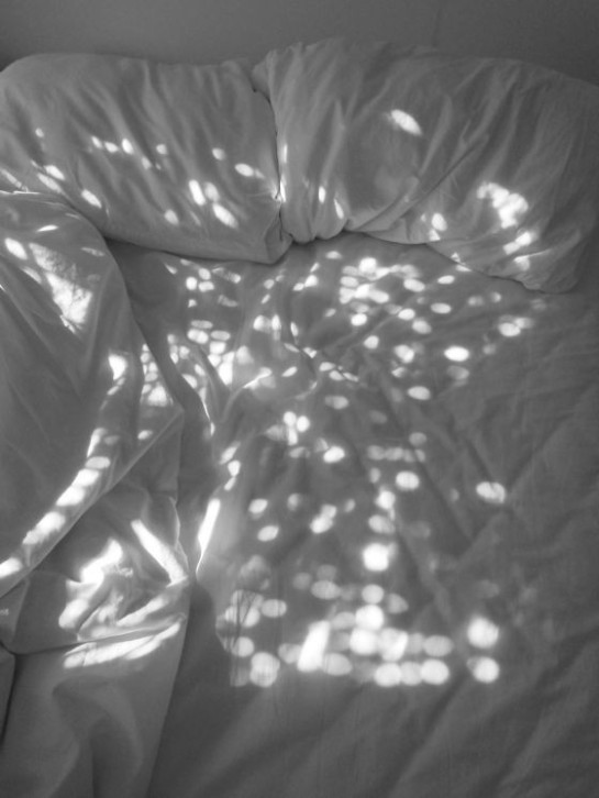 Jacobs_Susan_6_BodiesofLight