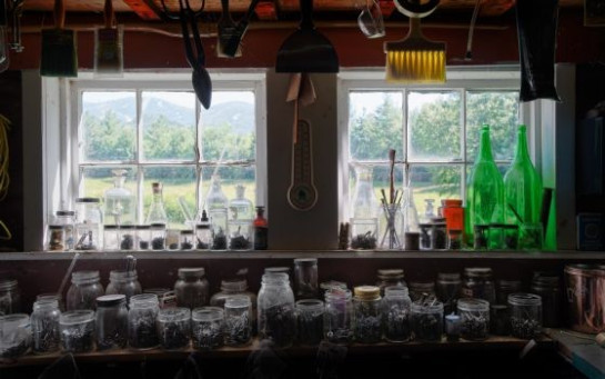 Krausch_Georg_1Toolshed