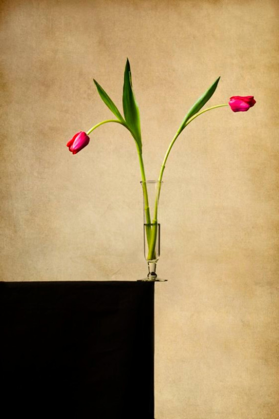 McKinniss_Jim__3_Two_Tulips