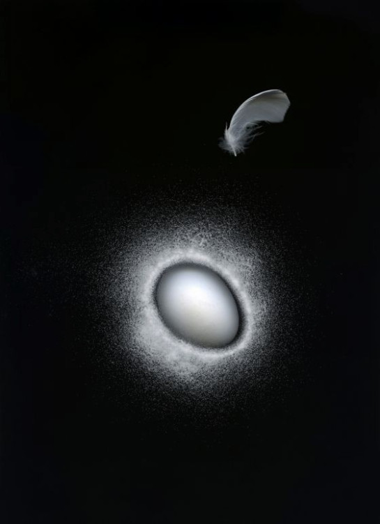 McQuillen_Nin_2WhiteStar