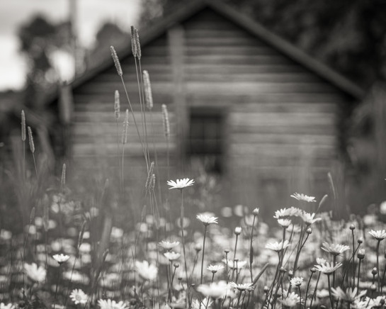 BIS21813 83757 juror