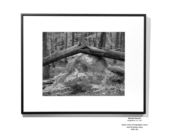 Monochrome Install 05