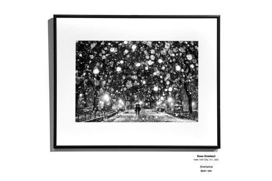 Monochrome Install 17