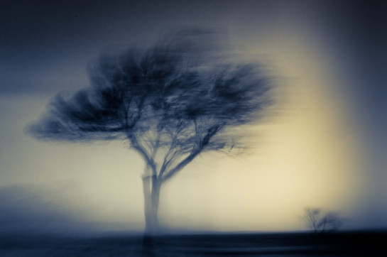 Burkett_Steve_8FrighteningNight