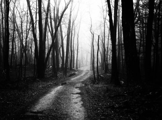 ROC10513_99915-jury-for web