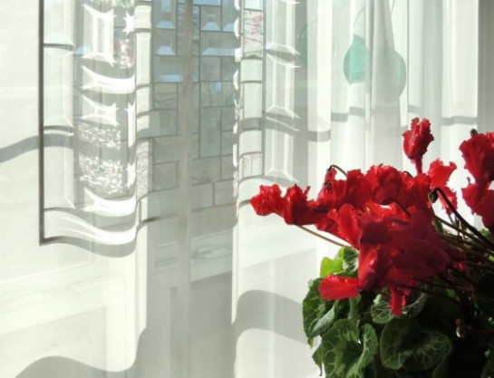 Jones_Morrow_1_Kitchen_Window