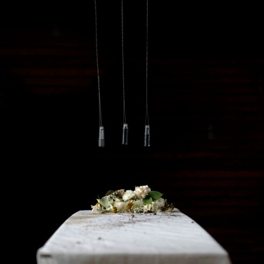 Zychowski_Katie_WeSettledOnWanting