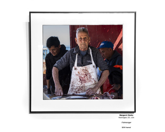 2501 Portraiture Installation 24 v2