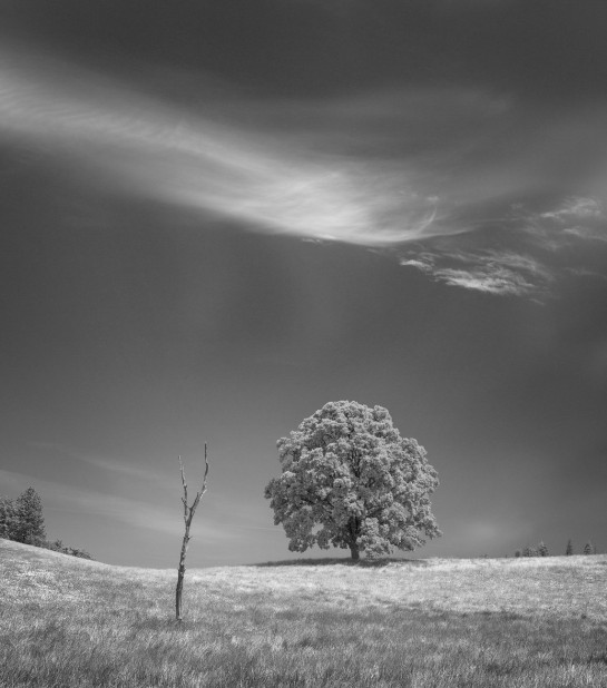 DIL58522 20402 juror