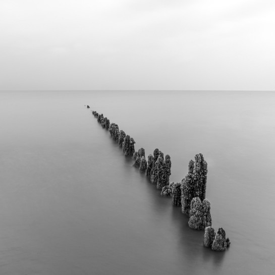 KAM90054 18358 juror