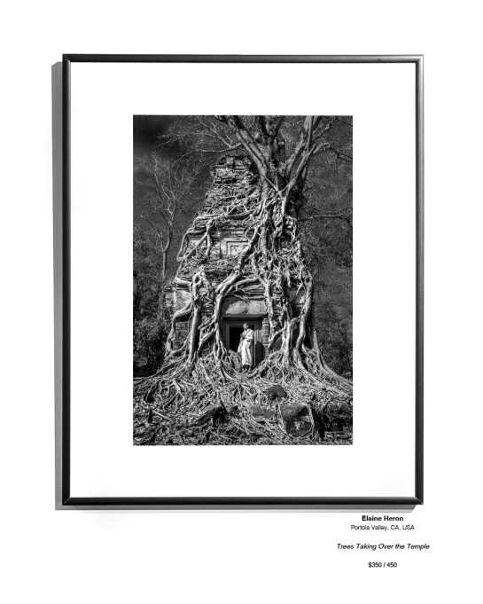 Ruins Installation 02