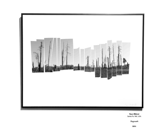 Ruins Installation 03