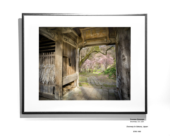 Ruins Installation 22