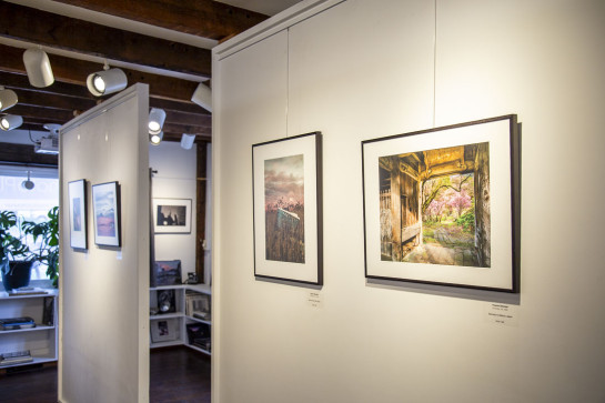 Ruins Installation 40