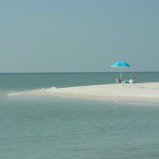 DAN52822 78116 juror