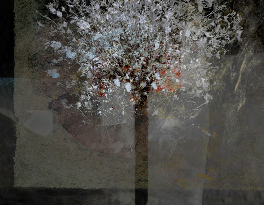 bai51897_68977-website