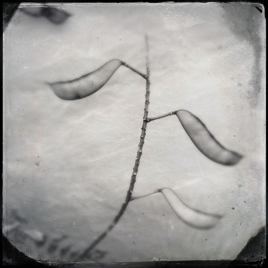 gof46689_75893-website