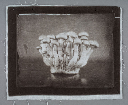 web48015_25343-website