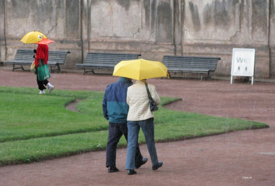 Tilgner_Peter_2_A-Different-Duck