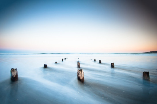 Brown_Cate_5IntotheSea2