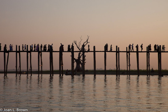 Brown_Joan_Lobis_2Myanamr2