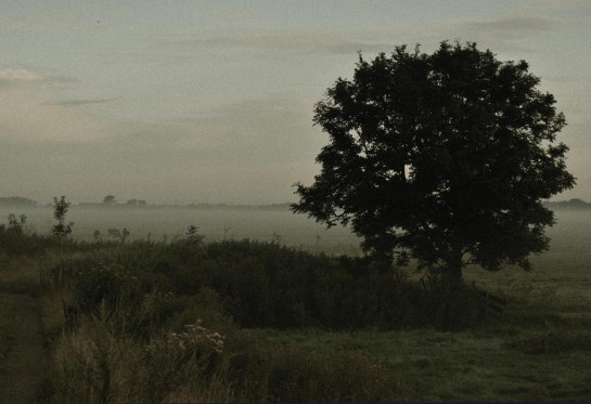 Koopman_Linda_Mijzenpolder3