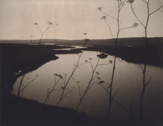 Polley_Heather_5Drakes Estero 2