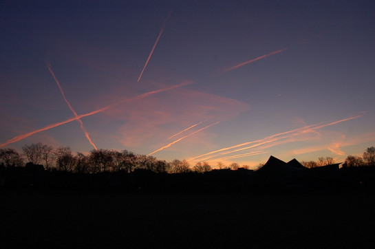 garber_al_1Holland Park Morning