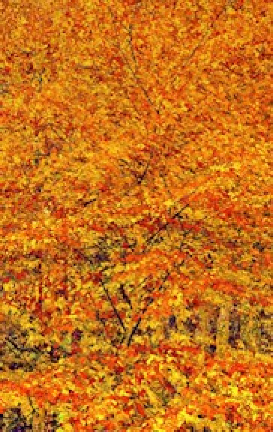 Lester_Julius_6Red October