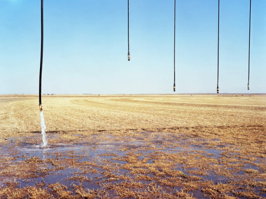 Lust_Dianna_1 Pivot Irrigation