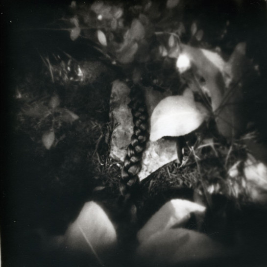 Phillips_Wendy_1La Sombra 1